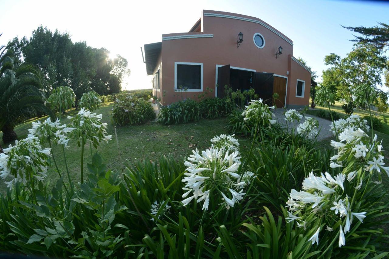 Apartament La Monturera, Loft De Campo Colonia del Sacramento Zewnętrze zdjęcie