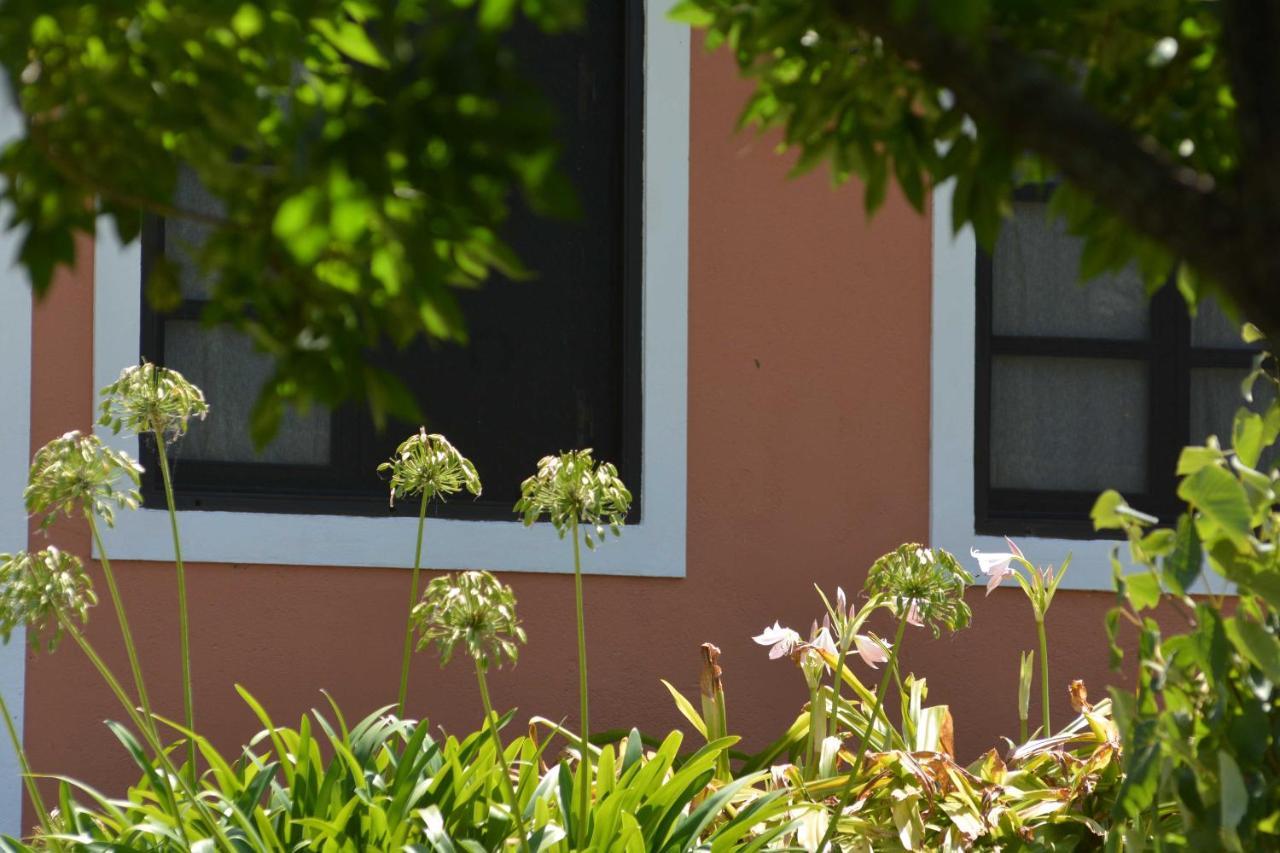 Apartament La Monturera, Loft De Campo Colonia del Sacramento Zewnętrze zdjęcie