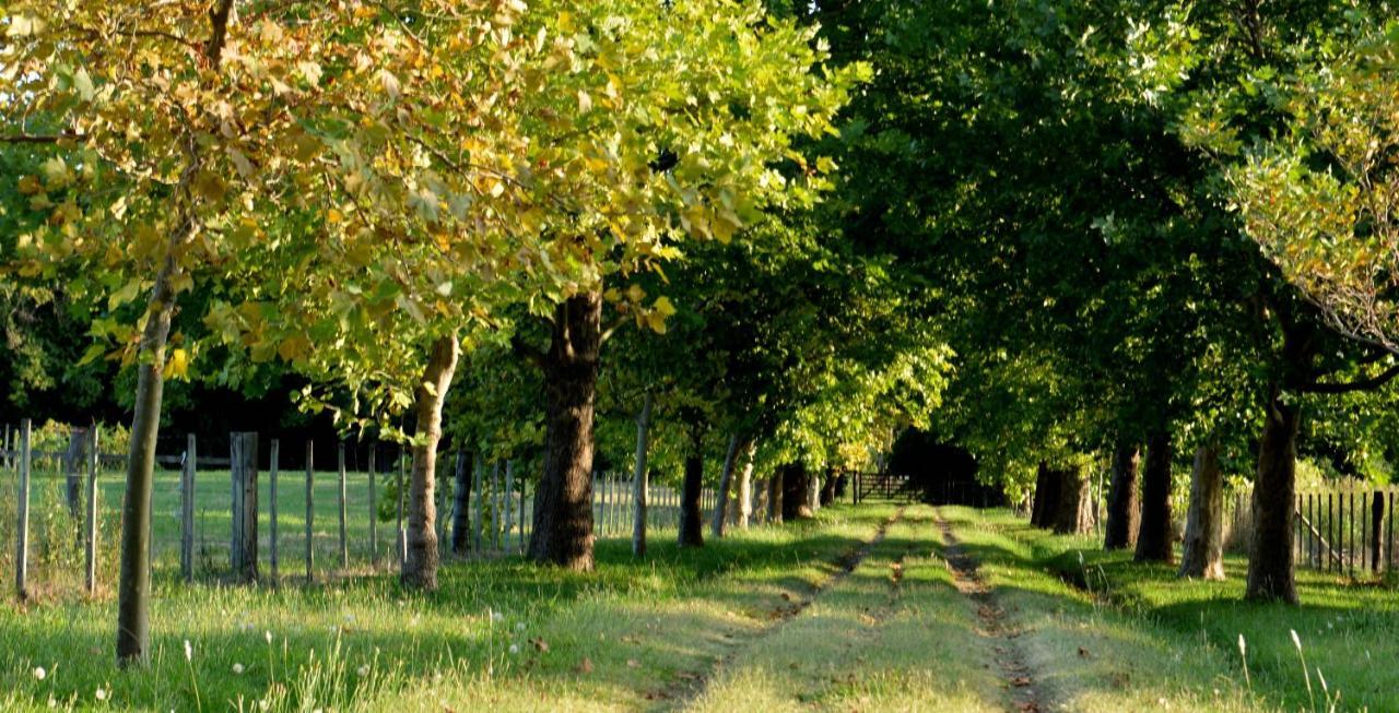 Apartament La Monturera, Loft De Campo Colonia del Sacramento Zewnętrze zdjęcie