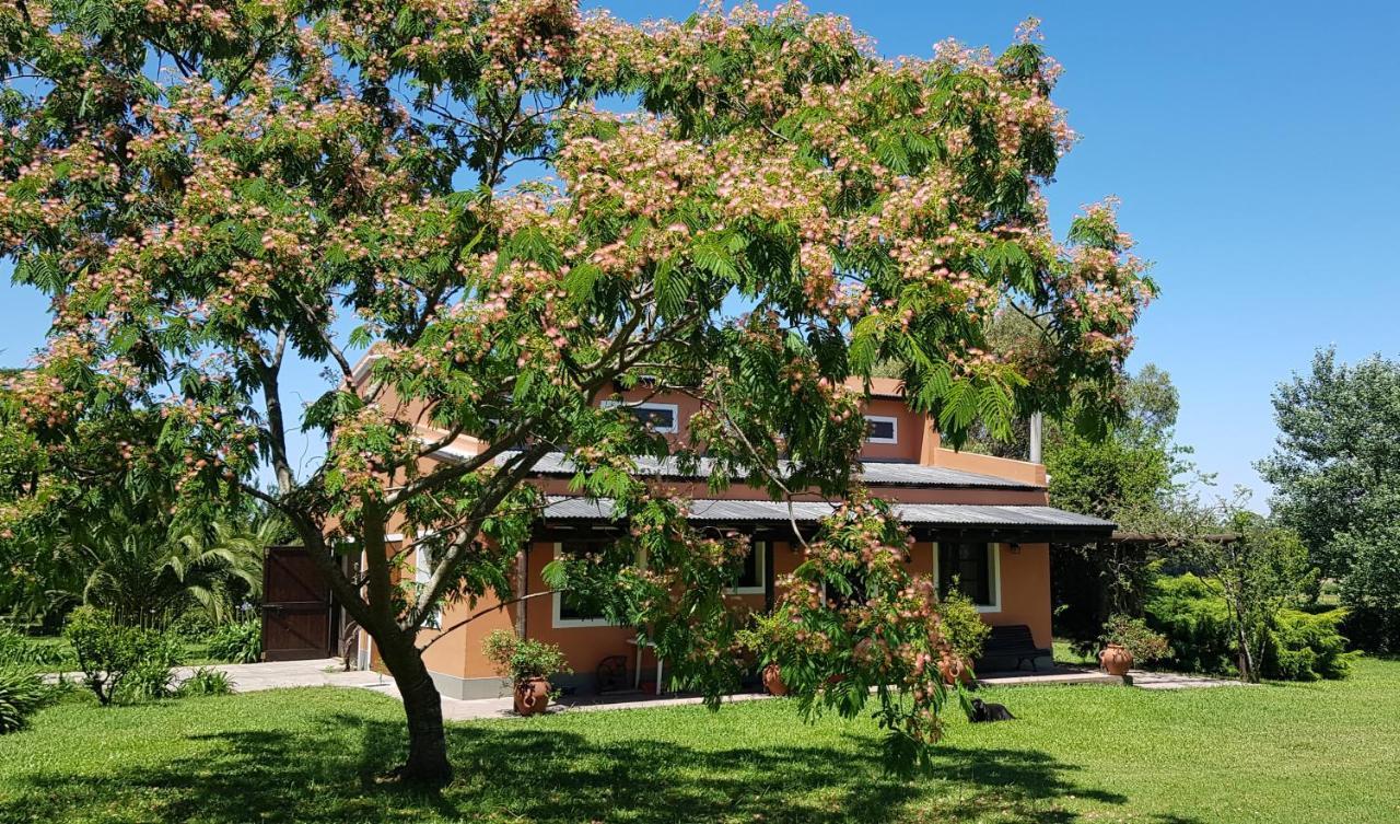 Apartament La Monturera, Loft De Campo Colonia del Sacramento Zewnętrze zdjęcie